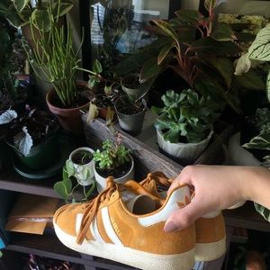 Adidas Bumble Bee Sneakers